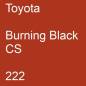 Preview: Toyota, Burning Black CS, 222.